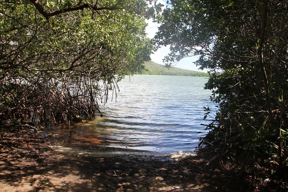 Laguna Grande in Fajardo