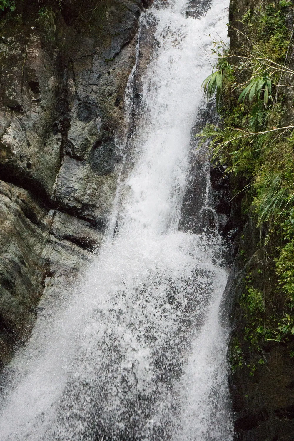 La Mina Falls in El Yunque
